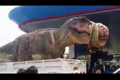 Egy élő T-rexet szállítottak a kamionon, elképesztő videó! 