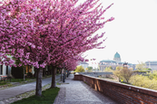 főváros közeli szállás budapest közeli szállás