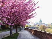 budapest közeli szállás