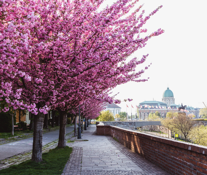budapest közeli szállás